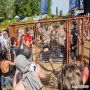 20180805_11-53-38_IMG_1211